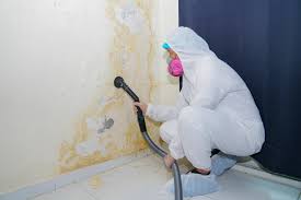 Best Comprehensive Air Testing for Mold Contaminants  in Bluffton, IN